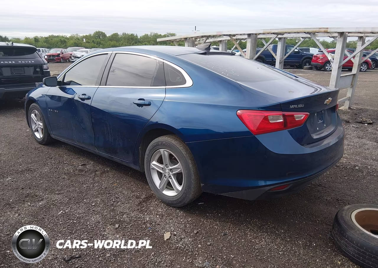 2019 Chevrolet Malibu 1Fl VIN:1G1ZC5ST1KF138285 - 3