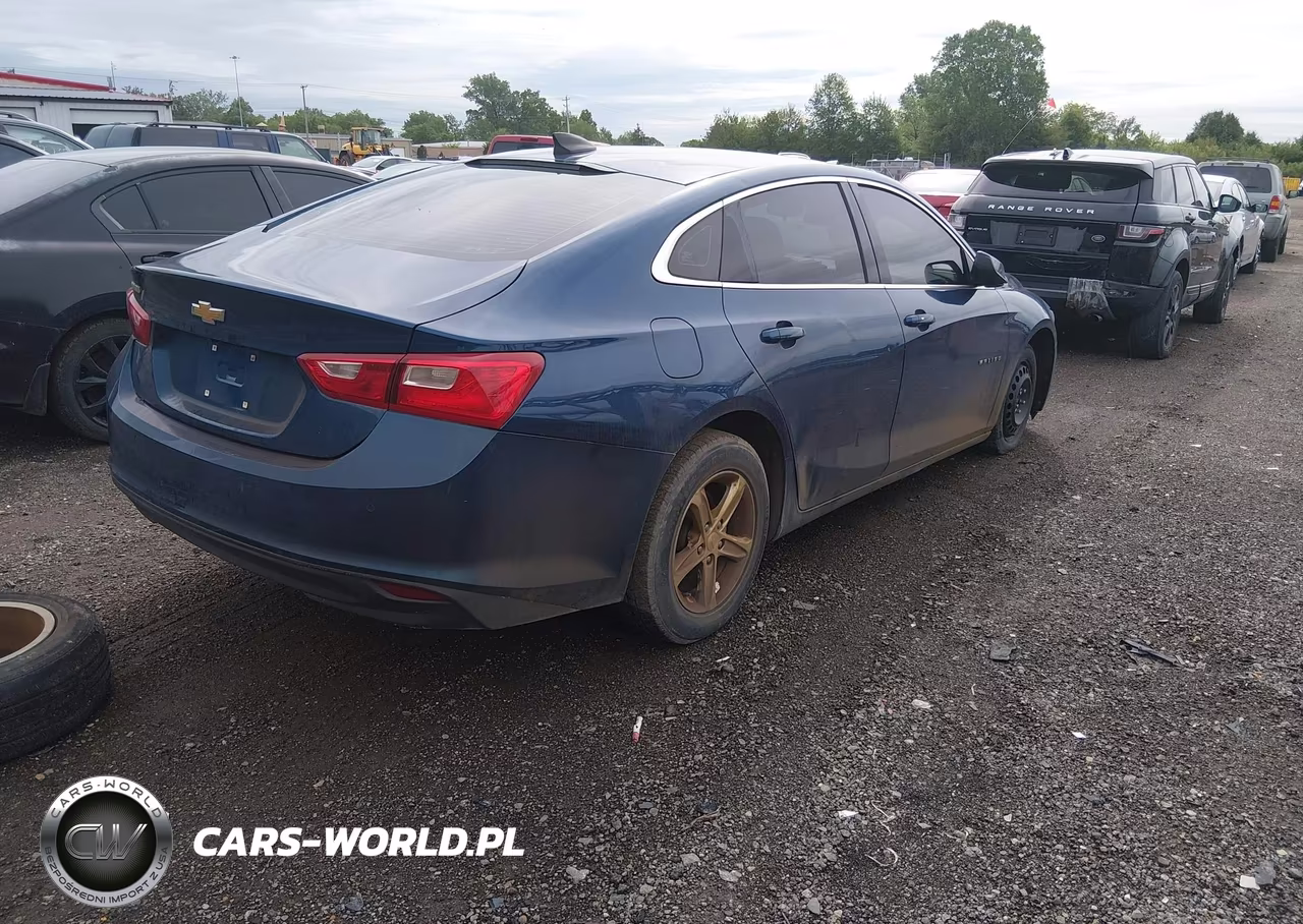 2019 Chevrolet Malibu 1Fl VIN:1G1ZC5ST1KF138285 - 4