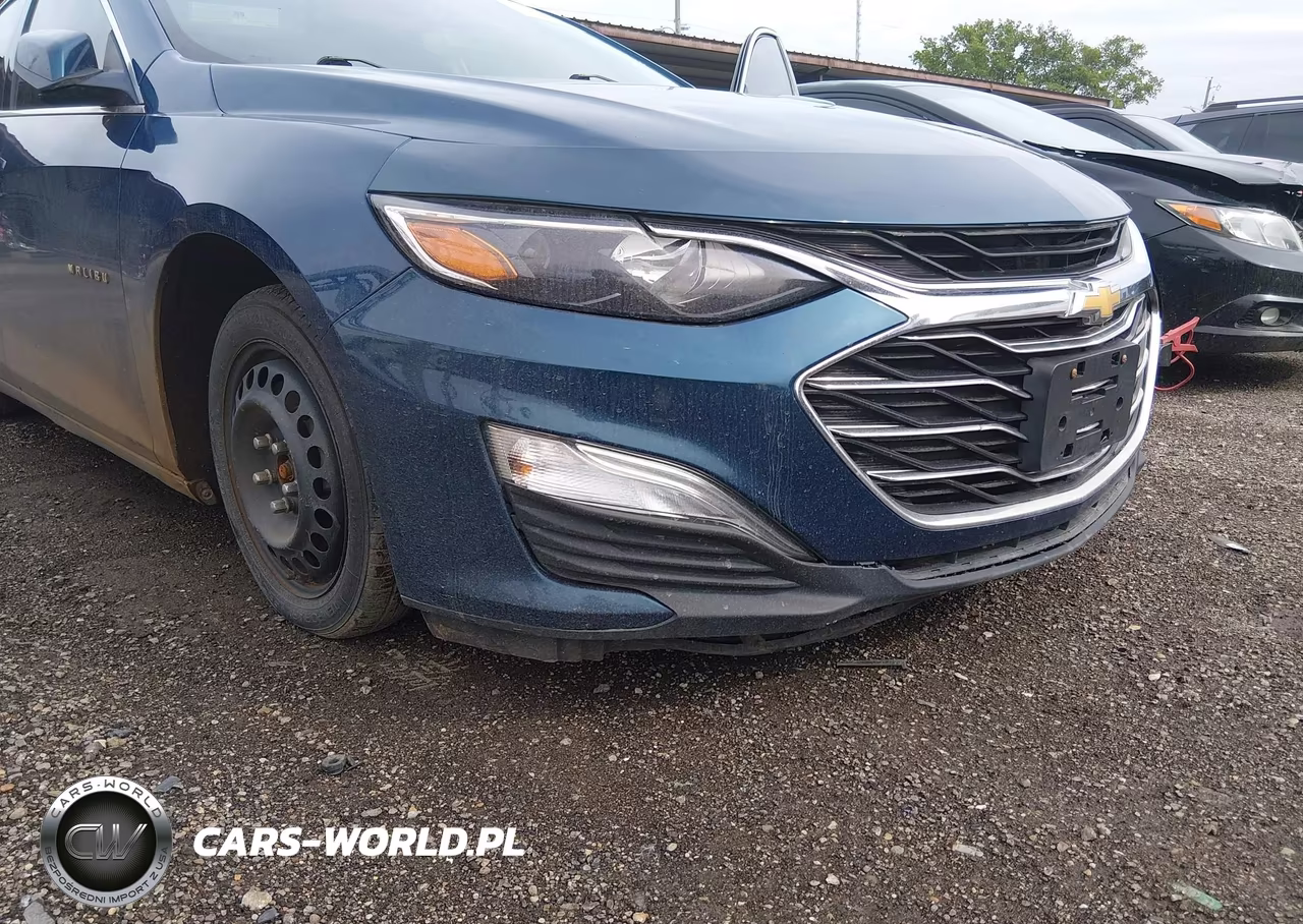 2019 Chevrolet Malibu 1Fl VIN:1G1ZC5ST1KF138285 - 6