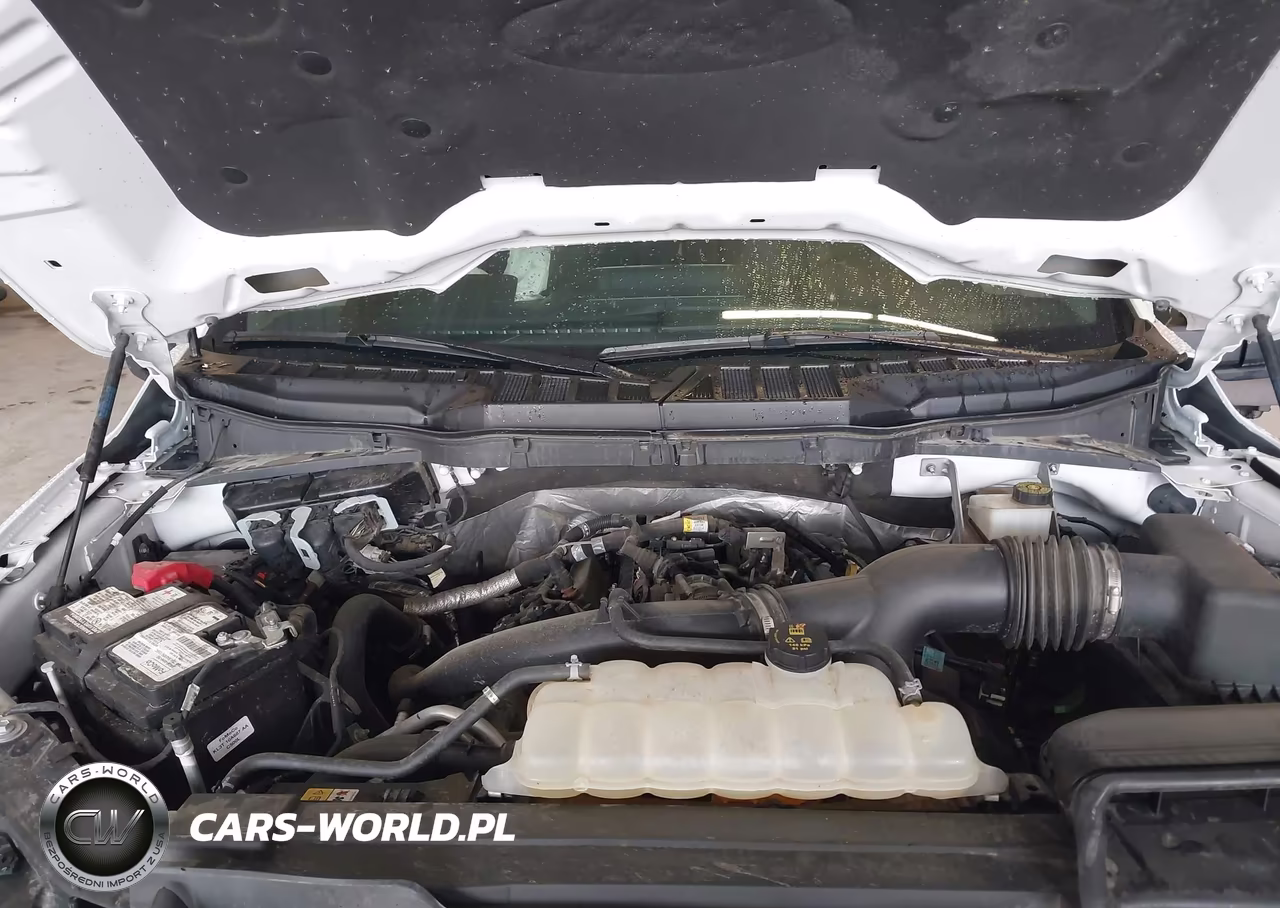 2023 Ford F150 Supercrew VIN:1FTEW1EPXPKF19121 - 10