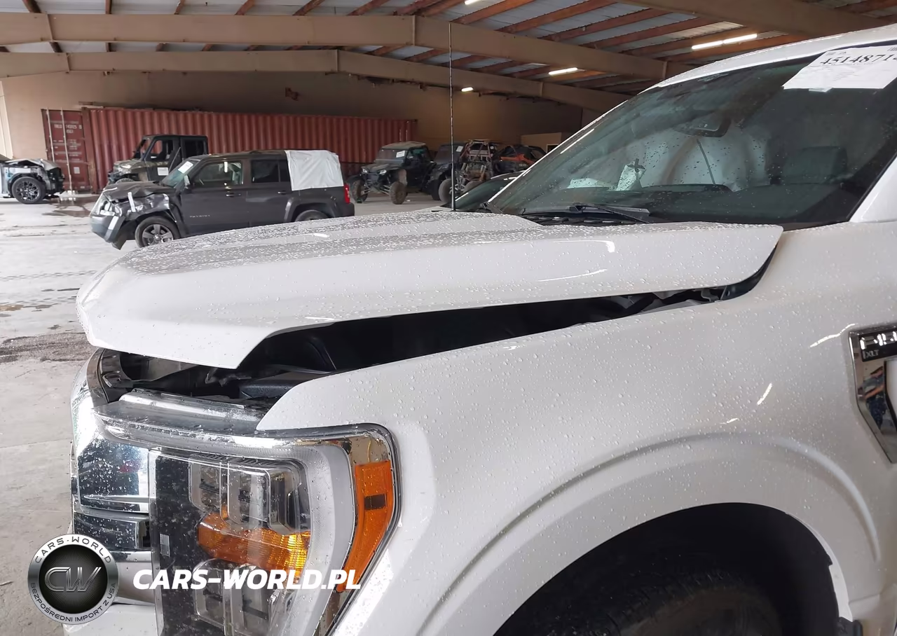 2023 Ford F150 Supercrew VIN:1FTEW1EPXPKF19121 - 20
