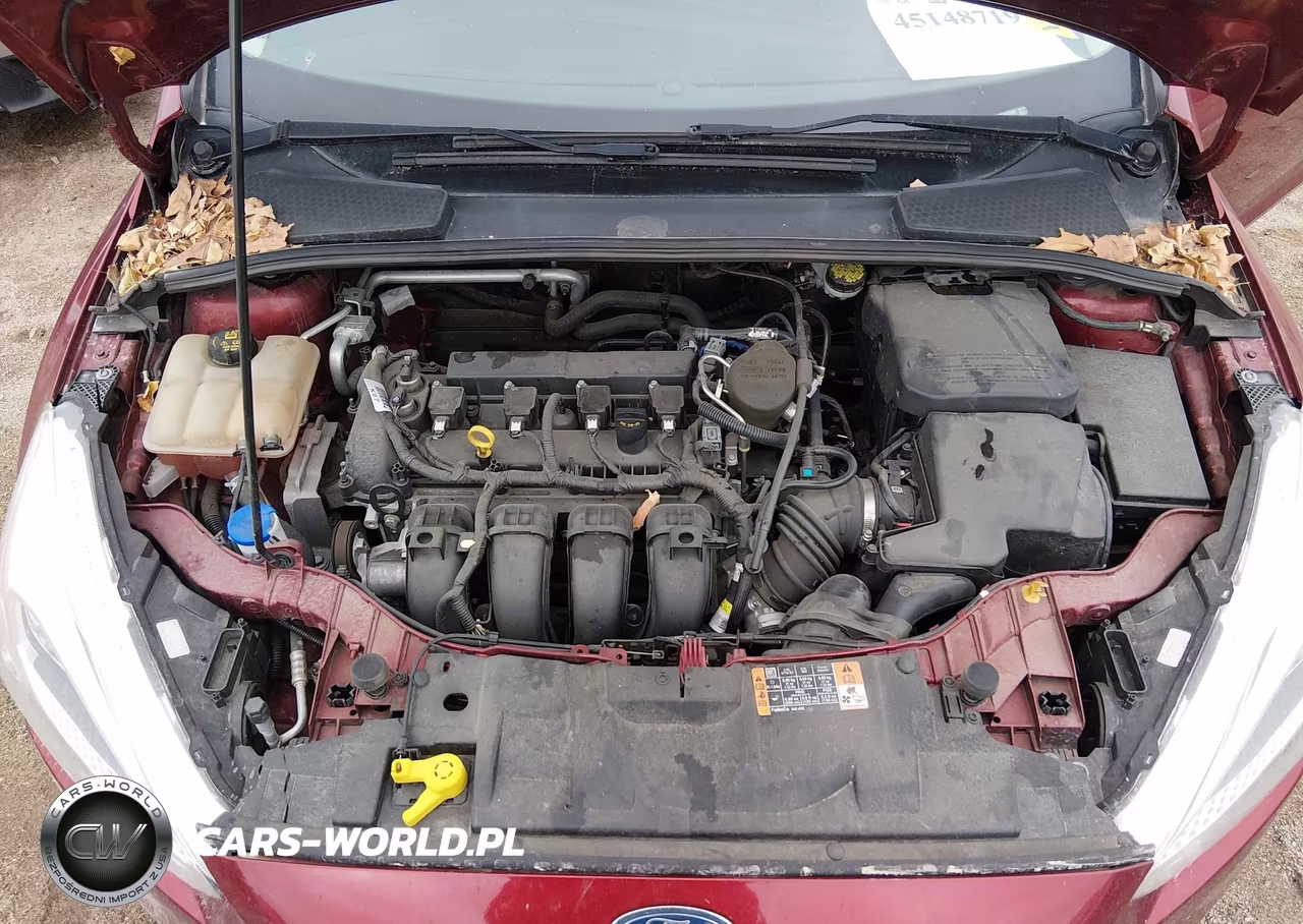 2016 Ford Focus Se VIN:1FADP3K28GL245866 - 10