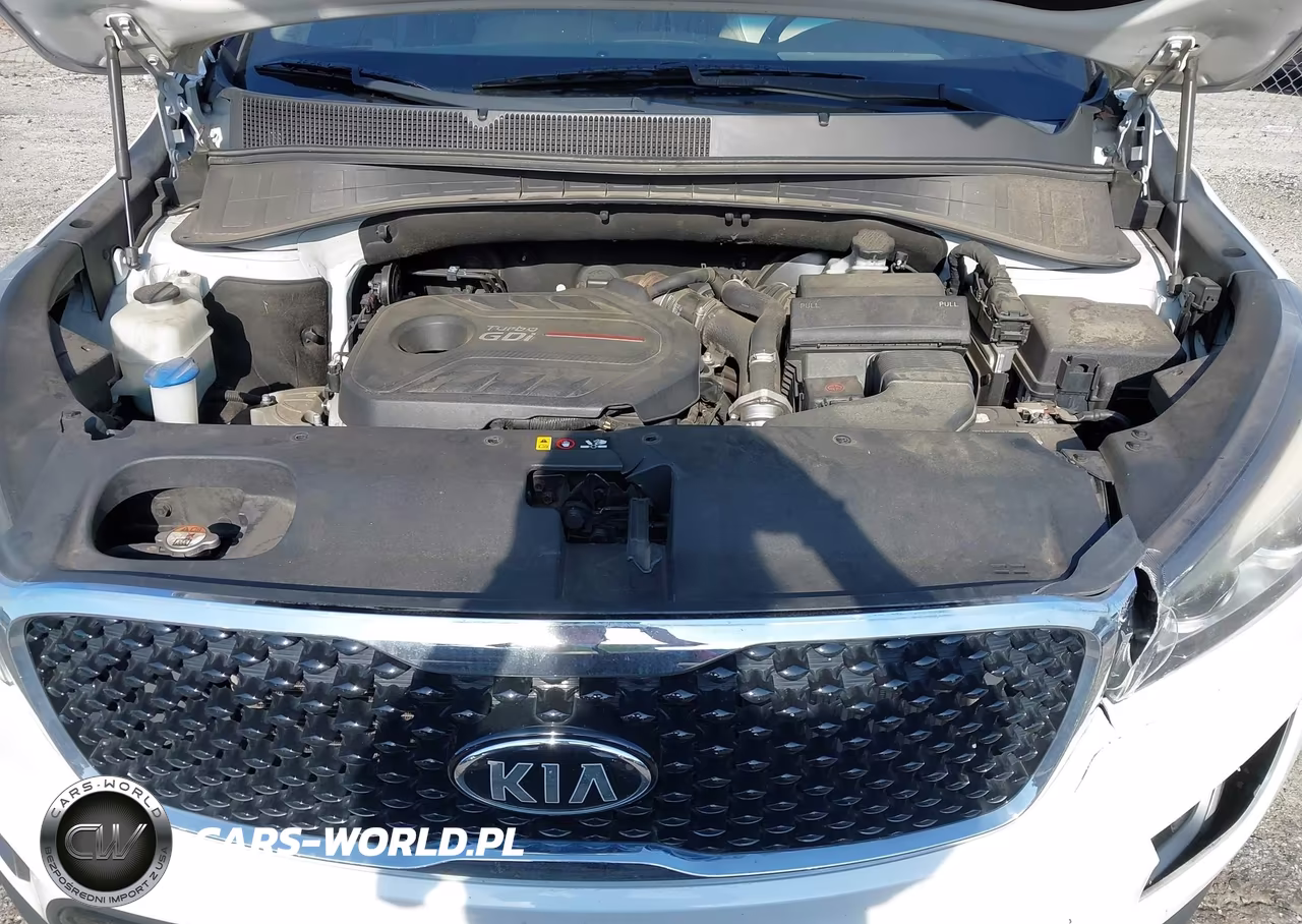 2016 Kia Sorento 2.0T Ex VIN:5XYPH4A12GG041367 - 10