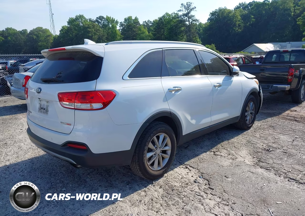 2016 Kia Sorento 2.0T Ex VIN:5XYPH4A12GG041367 - 4