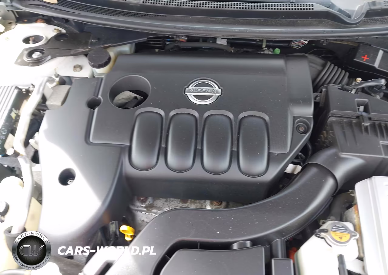 2010 Nissan Altima Hybrid VIN:1N4CL2AP5AC189973 - 10