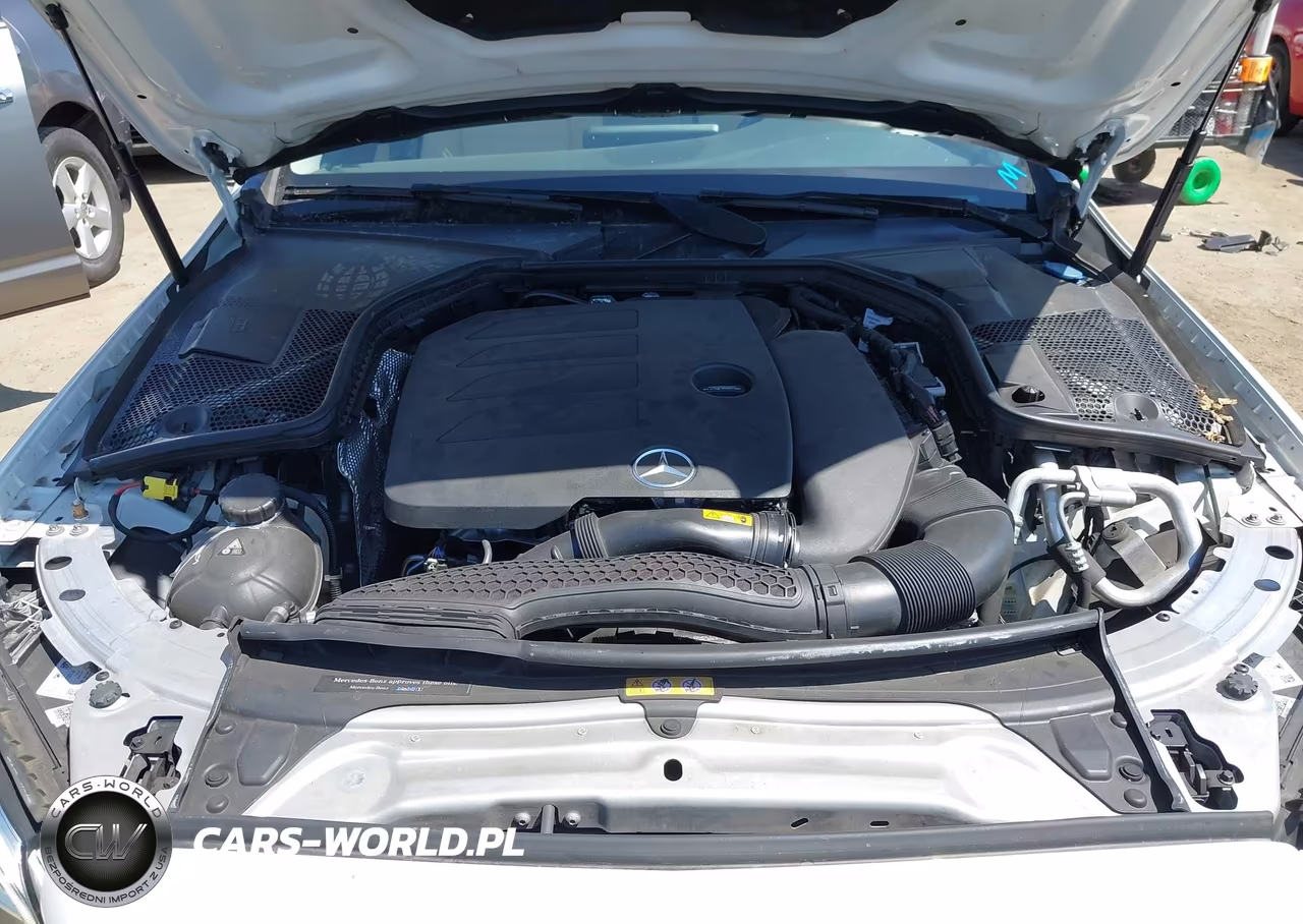 2019 Mercedes-Benz C 300 VIN:55SWF8DB5KU300610 - 10
