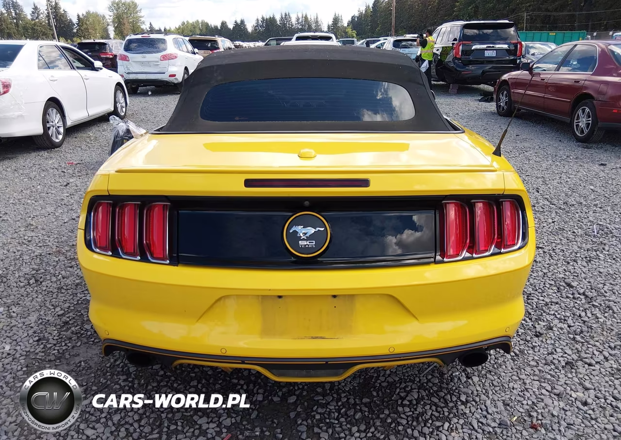 2015 Ford Mustang Ecoboost Premium VIN:1FATP8UH2F5399471 - 16