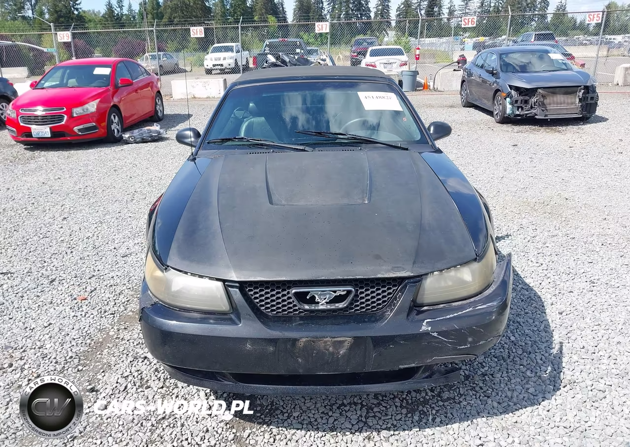 2003 Ford Mustang VIN:1FAFP44443F419003 - 12