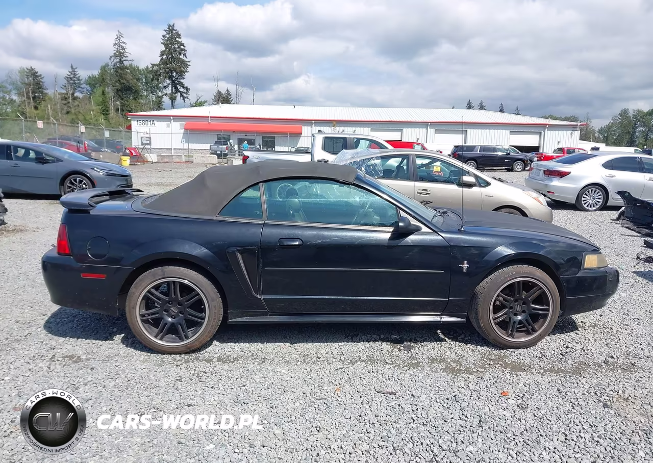 2003 Ford Mustang VIN:1FAFP44443F419003 - 13