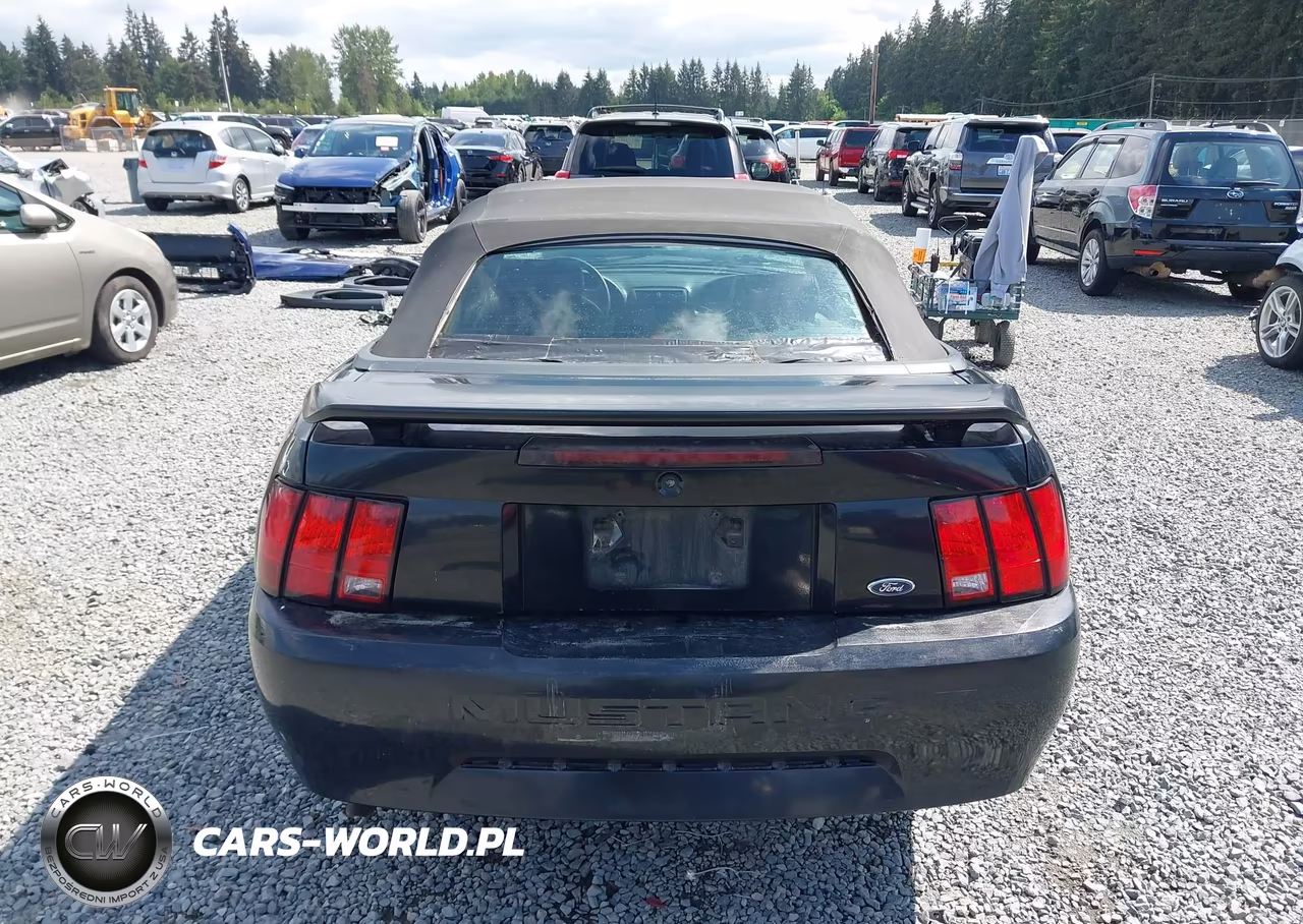 2003 Ford Mustang VIN:1FAFP44443F419003 - 16