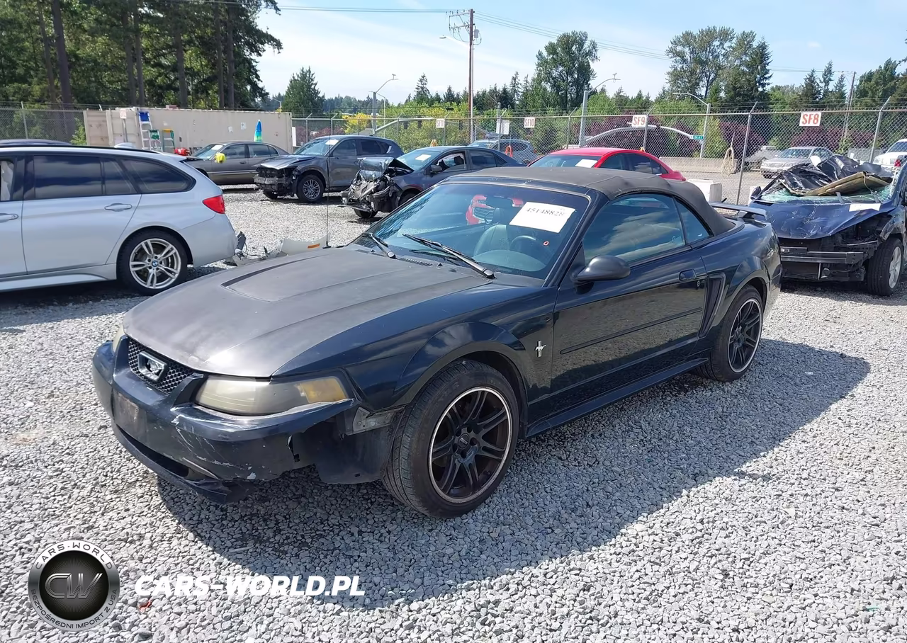 2003 Ford Mustang VIN:1FAFP44443F419003 - 2