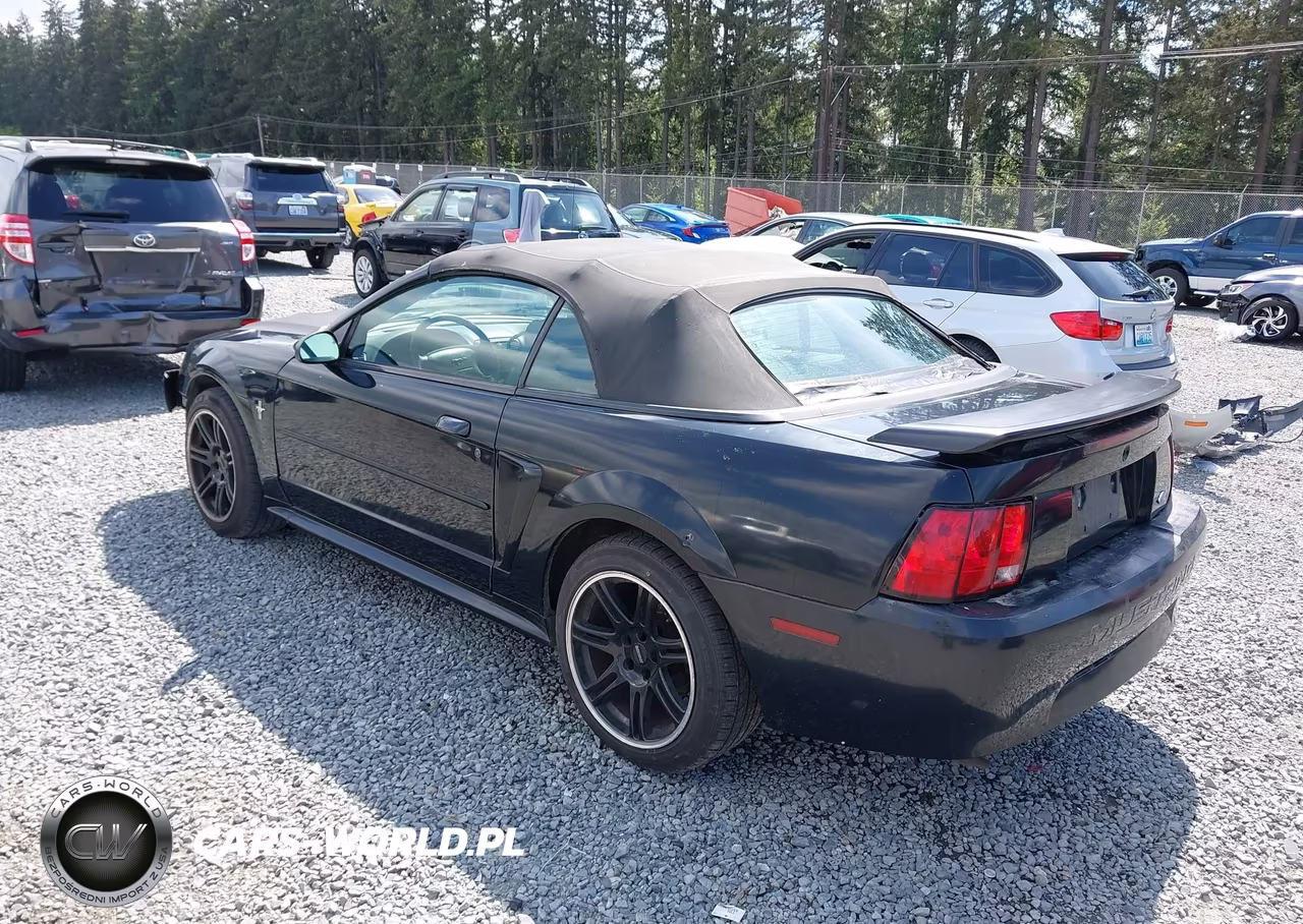 2003 Ford Mustang VIN:1FAFP44443F419003 - 3