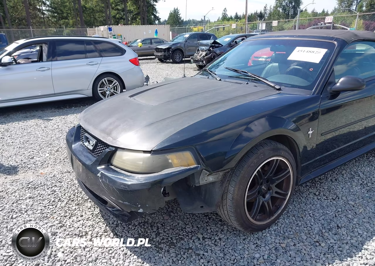 2003 Ford Mustang VIN:1FAFP44443F419003 - 6