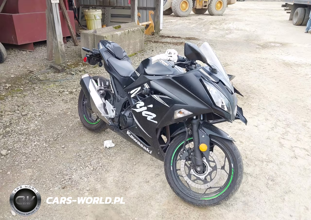 2017 Kawasaki Ex300 B
