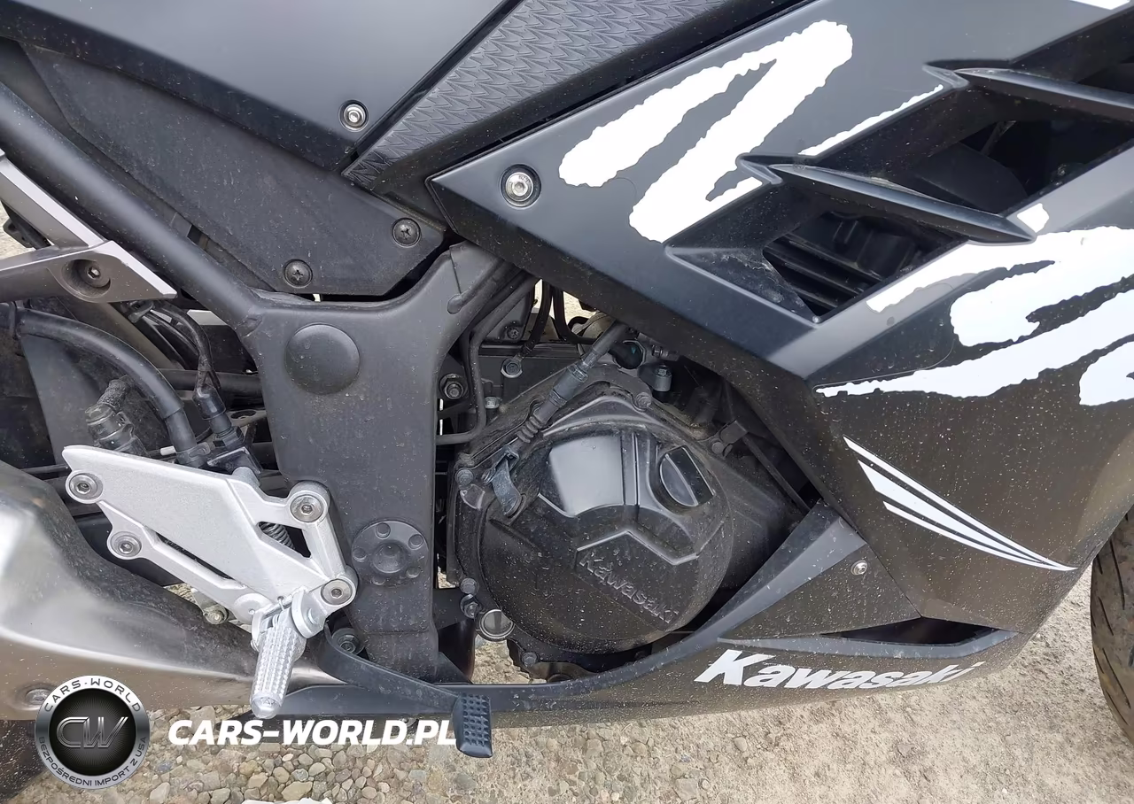 2017 Kawasaki Ex300 B VIN:JKAEX8B13HDA35686 - 8