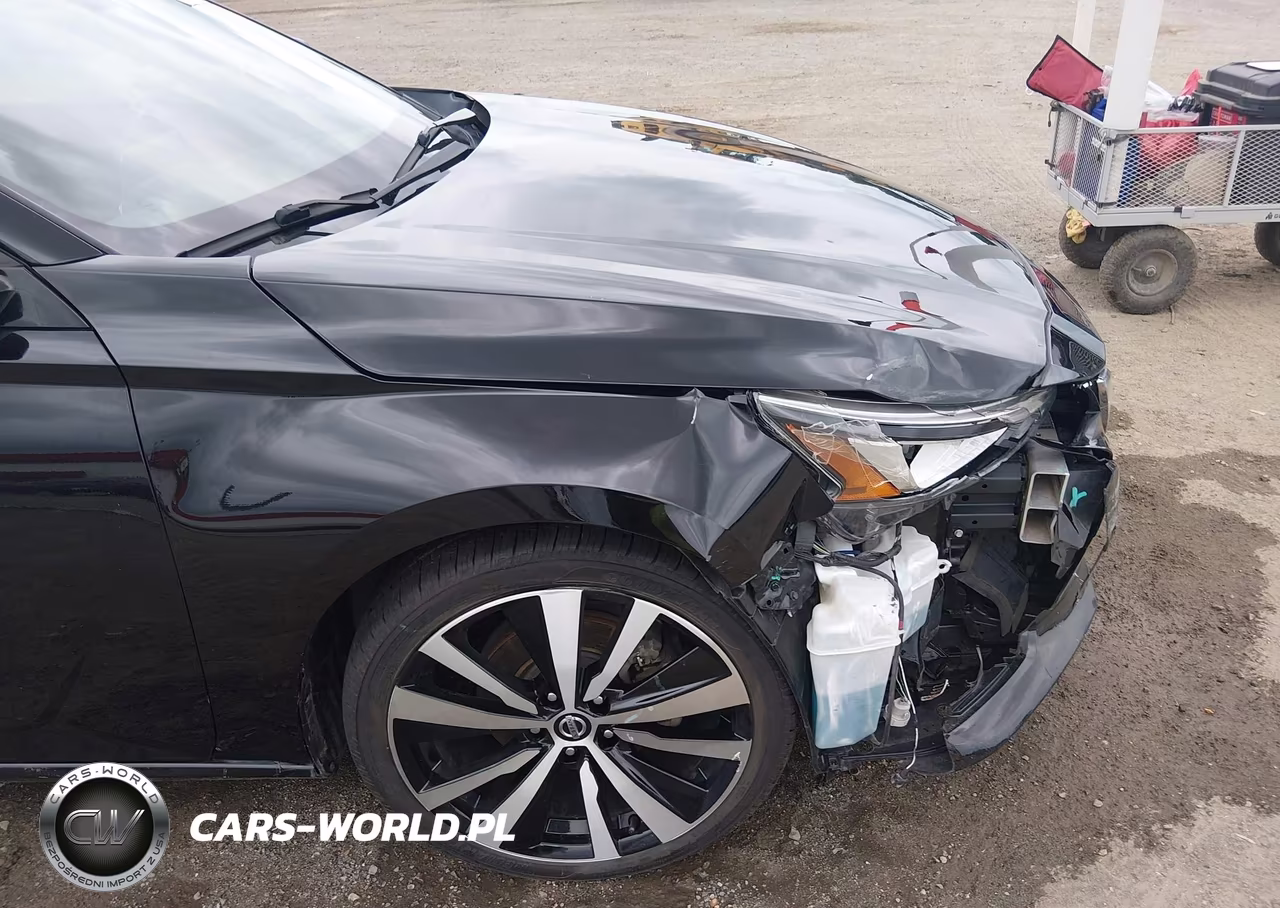 2019 Nissan Altima 2.5 Platinum VIN:1N4BL4FW7KC191572 - 19