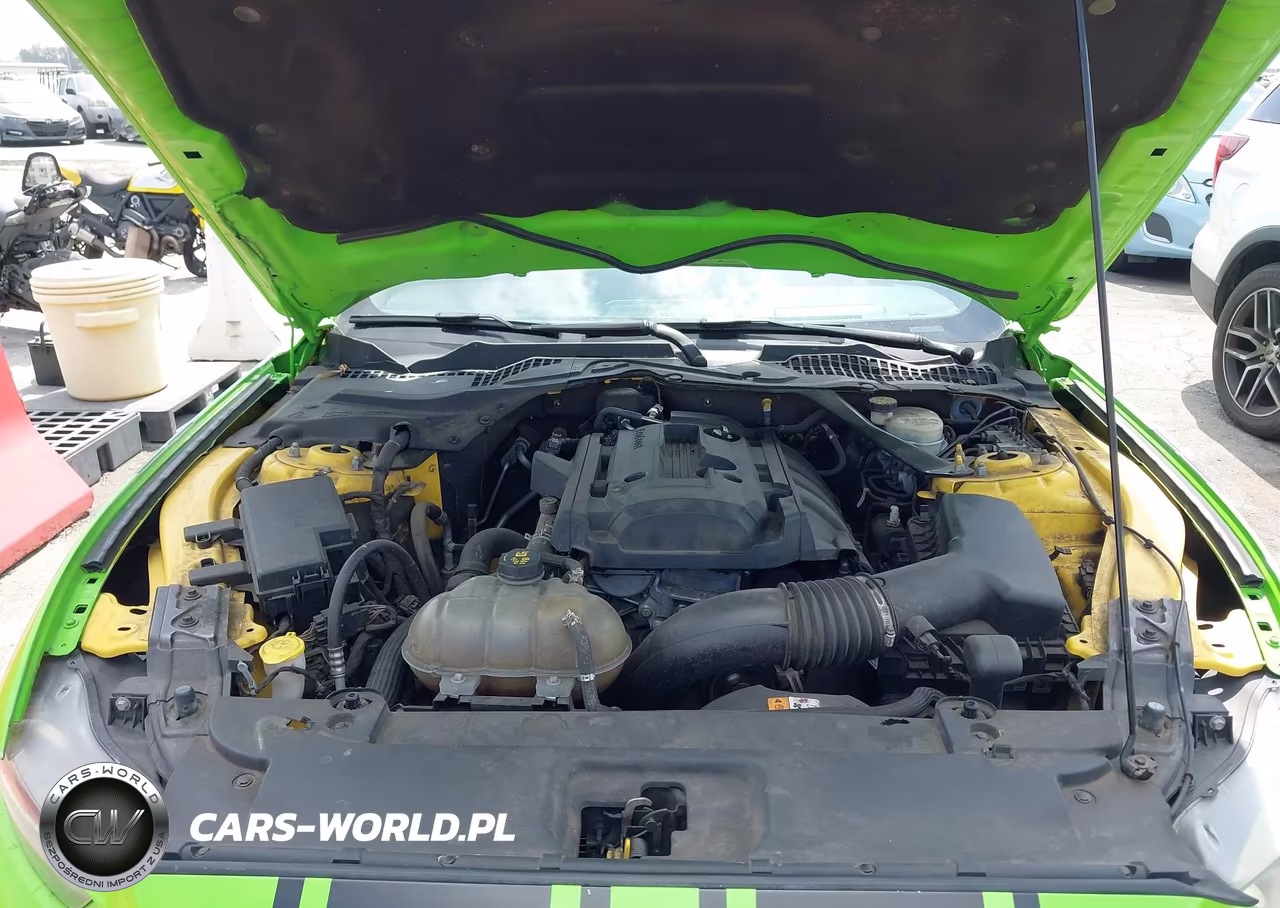 2016 Ford Mustang Ecoboost Premium VIN:1FATP8UH9G5299871 - 10