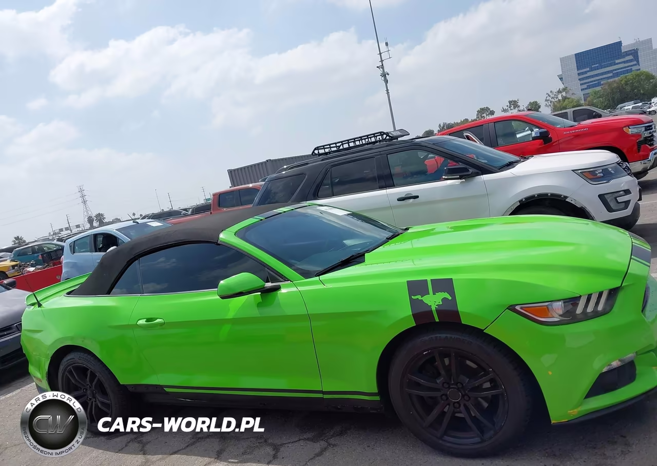 2016 Ford Mustang Ecoboost Premium VIN:1FATP8UH9G5299871 - 13