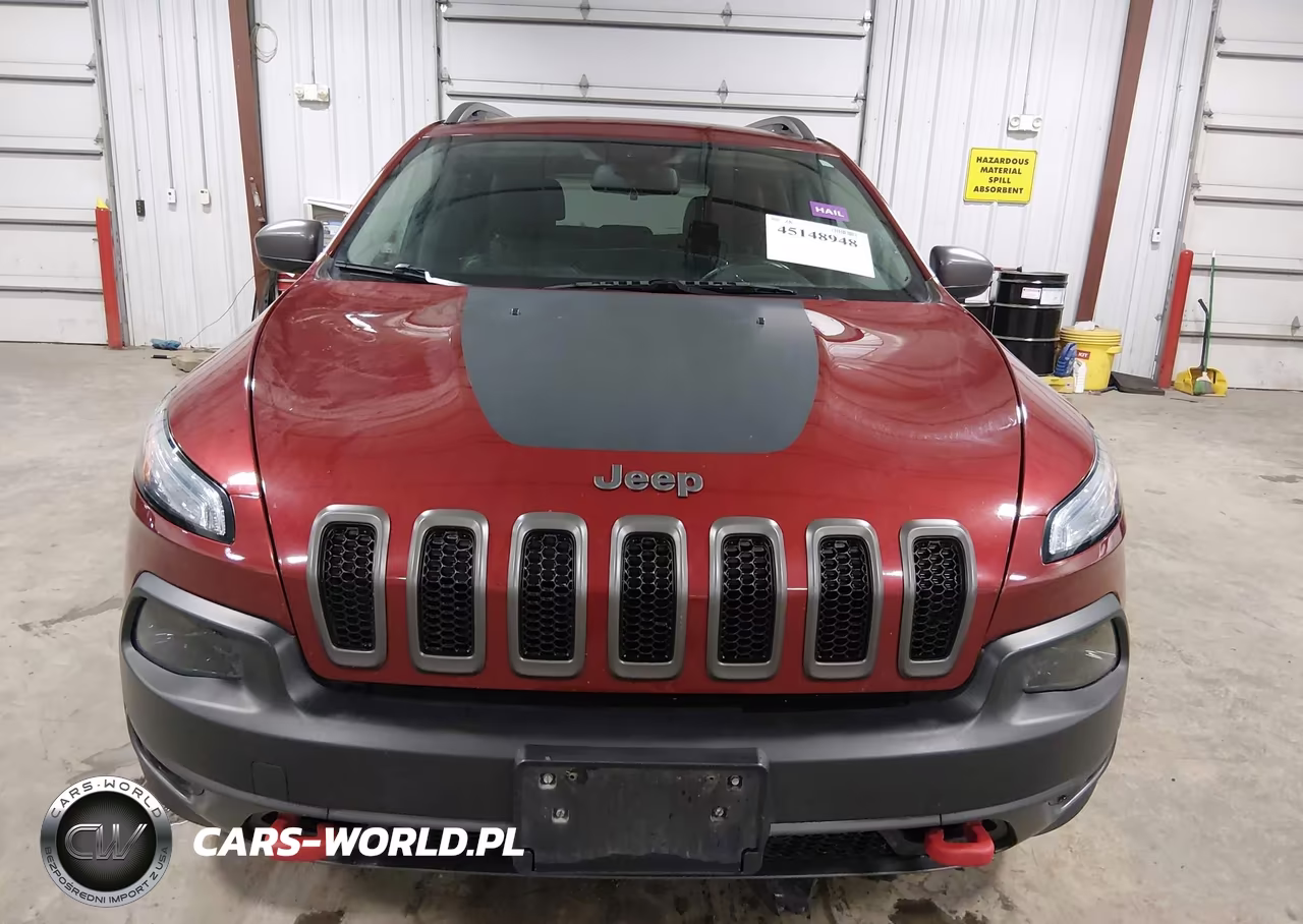 2017 Jeep Cherokee Trailhawk 4X4 VIN:1C4PJMBB1HW517317 - 12