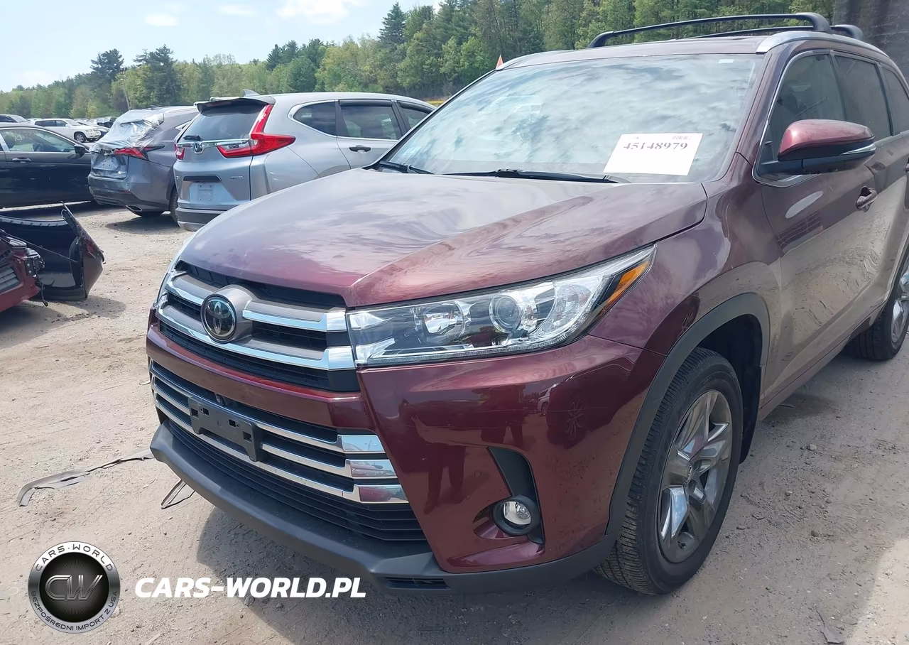 2019 Toyota Highlander Limited Platinum VIN:5TDDZRFH4KS967638 - 6