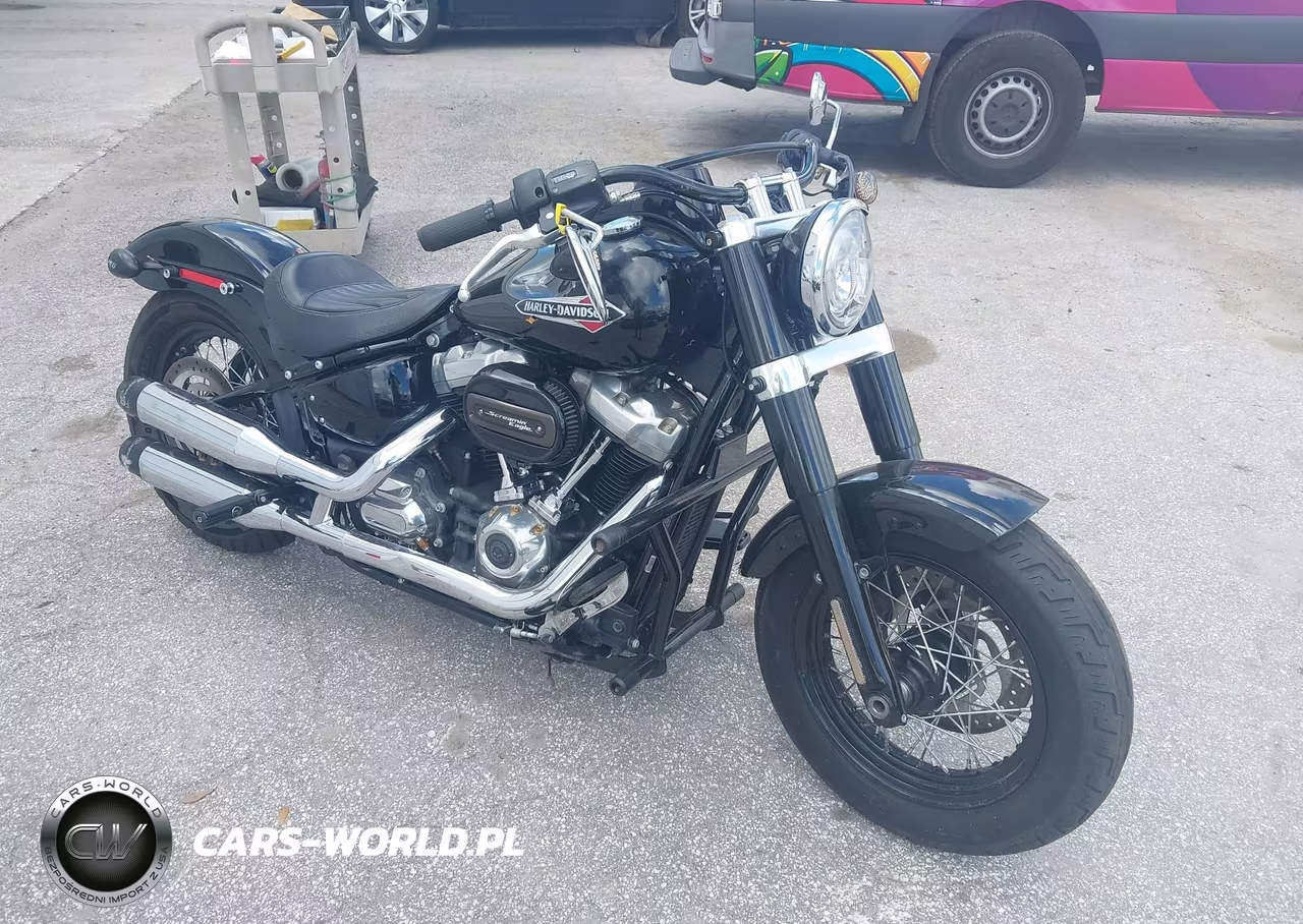2020 Harley-Davidson Flsl – zdjęcie 1 z 13