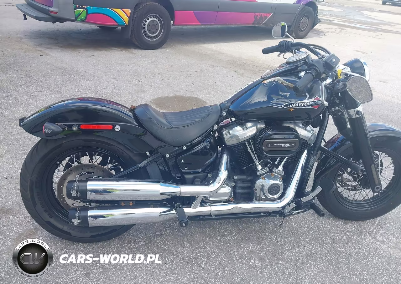 2020 Harley-Davidson Flsl VIN:1HD1YDJ15LB067213 - 12