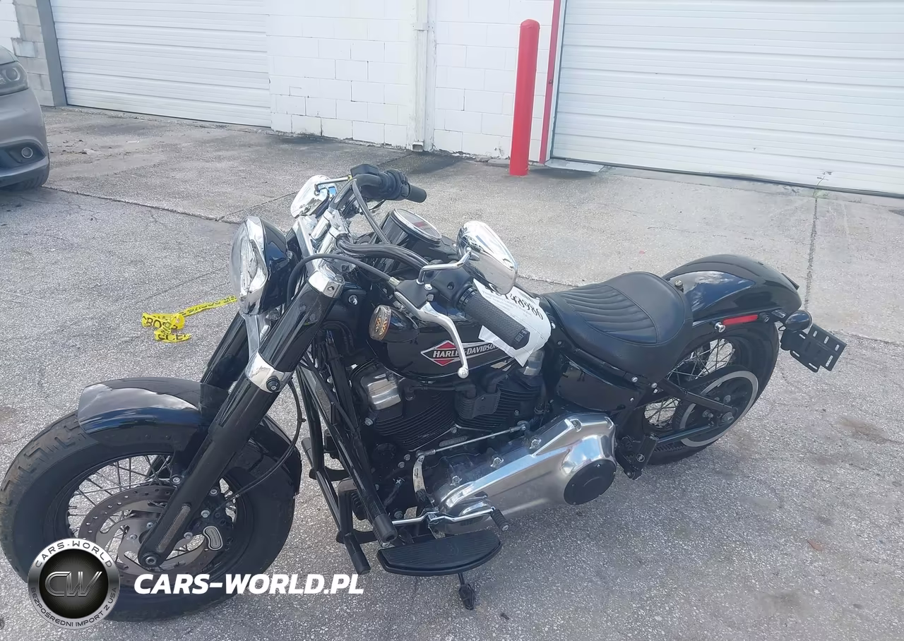 2020 Harley-Davidson Flsl VIN:1HD1YDJ15LB067213 - 13