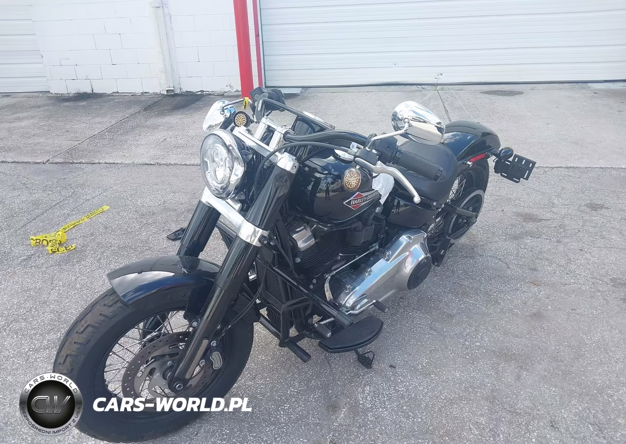 2020 Harley-Davidson Flsl VIN:1HD1YDJ15LB067213 - 2