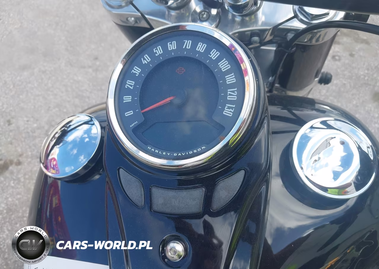 2020 Harley-Davidson Flsl VIN:1HD1YDJ15LB067213 - 7