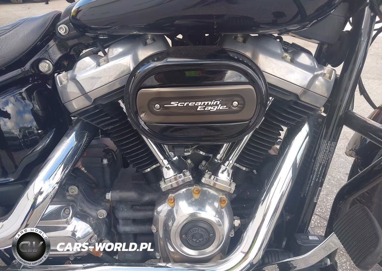 2020 Harley-Davidson Flsl VIN:1HD1YDJ15LB067213 - 8