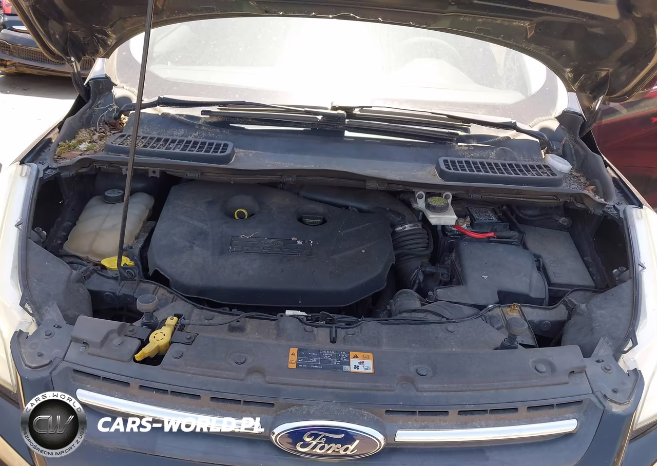 2013 Ford Escape Se VIN:1FMCU0G91DUC22479 - 10