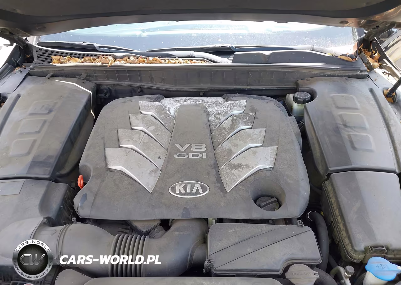 2015 Kia K900 Luxury VIN:KNALW4D47F6019664 - 10