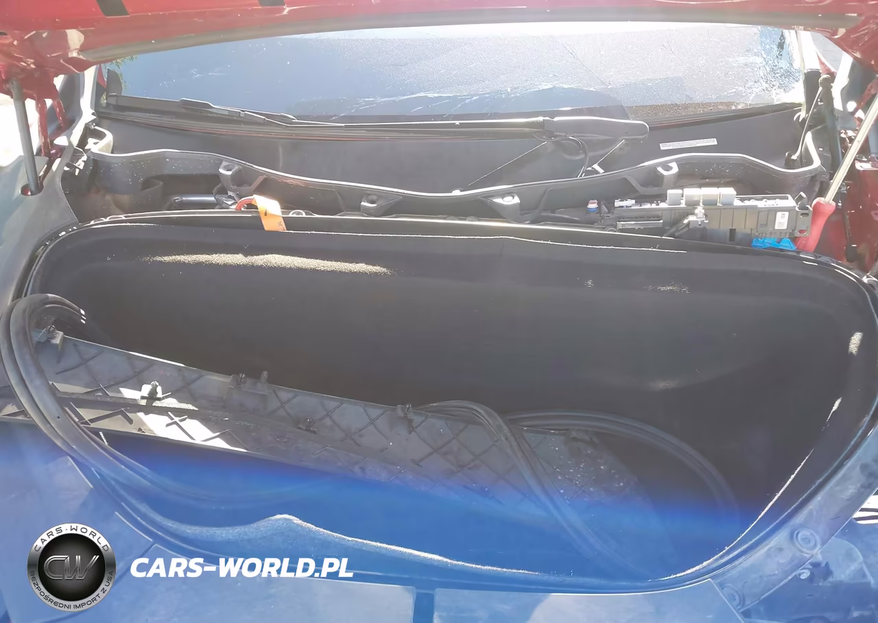 2019 Tesla Model X 100D-75D-Long Range-Standard Range VIN:5YJXCDE25KF157373 - 10