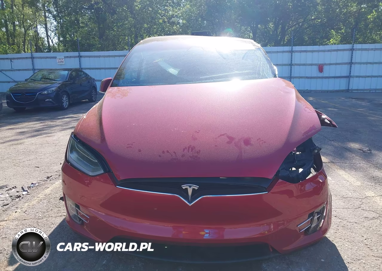 2019 Tesla Model X 100D-75D-Long Range-Standard Range VIN:5YJXCDE25KF157373 - 12