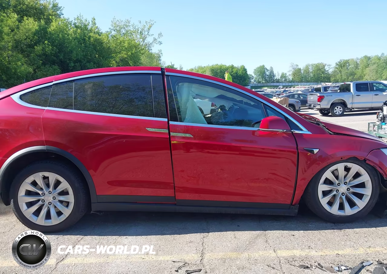 2019 Tesla Model X 100D-75D-Long Range-Standard Range VIN:5YJXCDE25KF157373 - 13