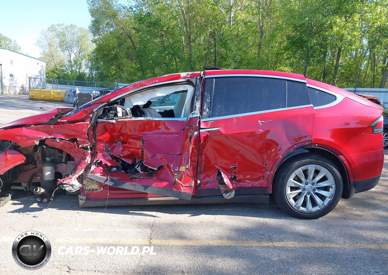 2019 Tesla Model X 100D-75D-Long Range-Standard Range VIN:5YJXCDE25KF157373 - 14