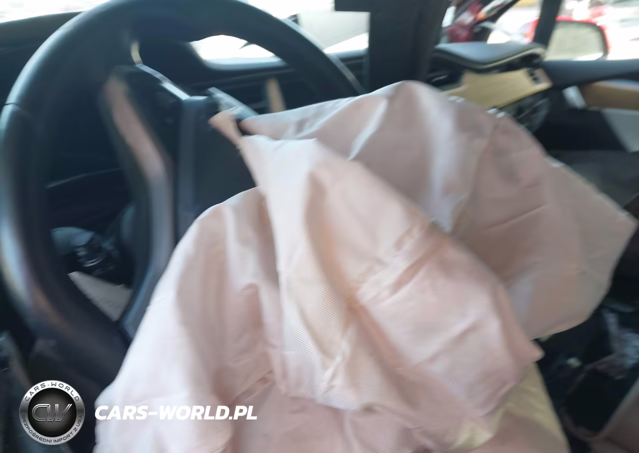 2019 Tesla Model X 100D-75D-Long Range-Standard Range VIN:5YJXCDE25KF157373 - 15