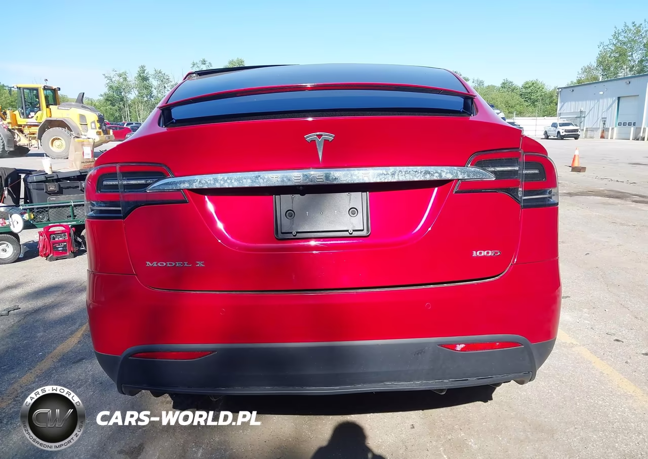 2019 Tesla Model X 100D-75D-Long Range-Standard Range VIN:5YJXCDE25KF157373 - 16