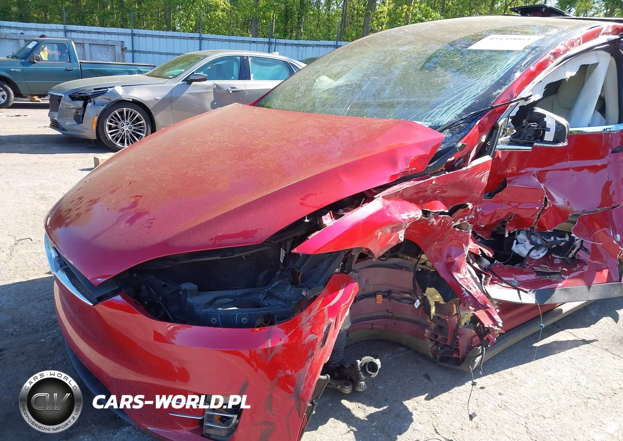2019 Tesla Model X 100D-75D-Long Range-Standard Range VIN:5YJXCDE25KF157373 - 6