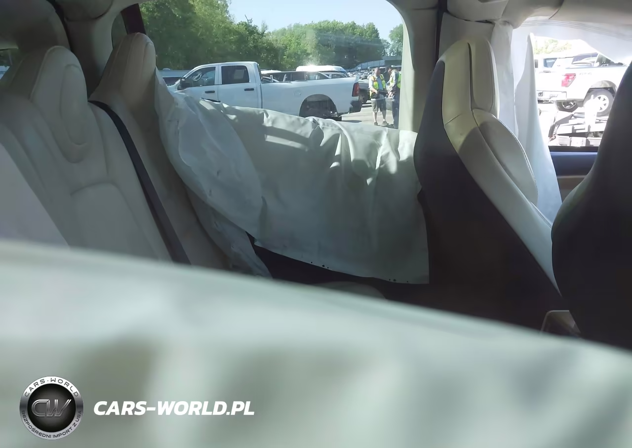 2019 Tesla Model X 100D-75D-Long Range-Standard Range VIN:5YJXCDE25KF157373 - 8