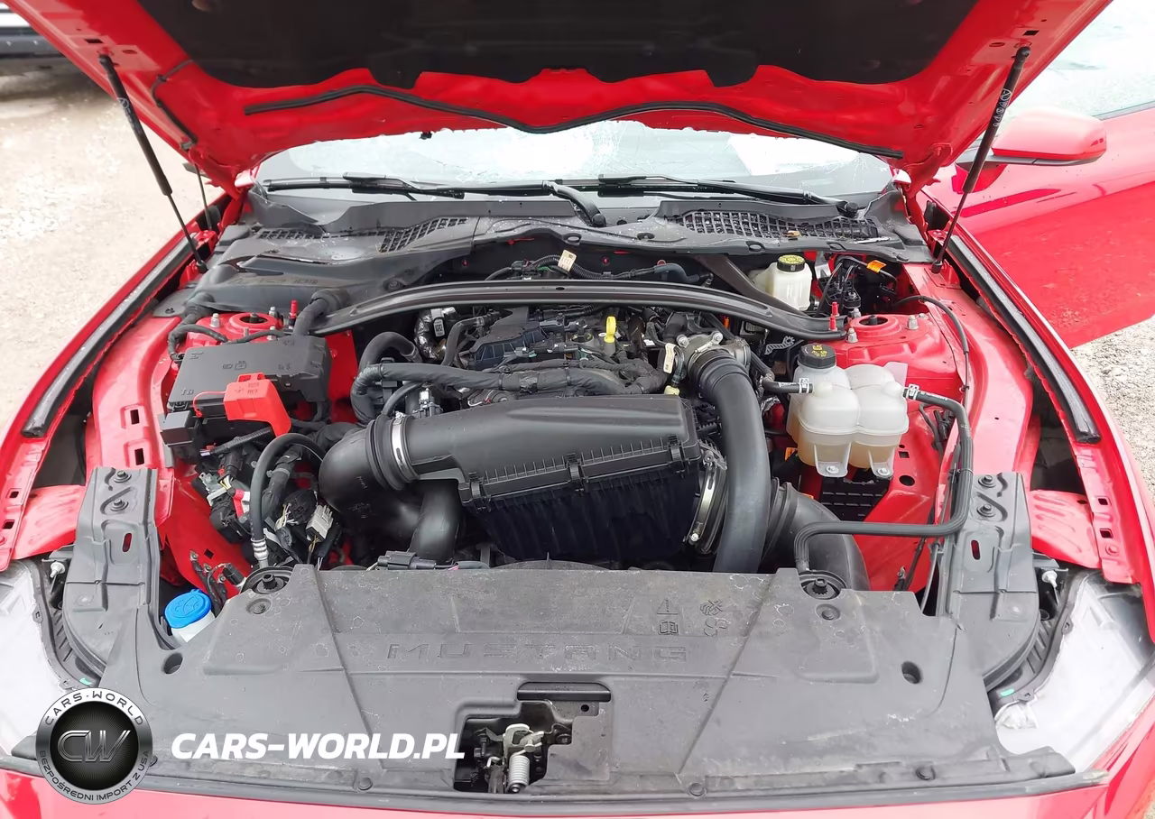2025 Ford Mustang Ecoboost Premium VIN:1FAGP8UH2S5125621 - 10