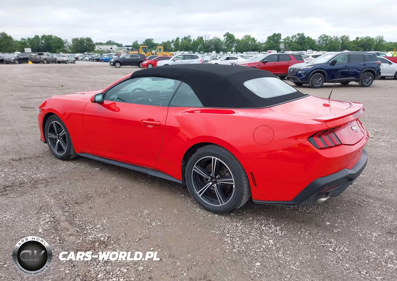 2025 Ford Mustang Ecoboost Premium VIN:1FAGP8UH2S5125621 - 3