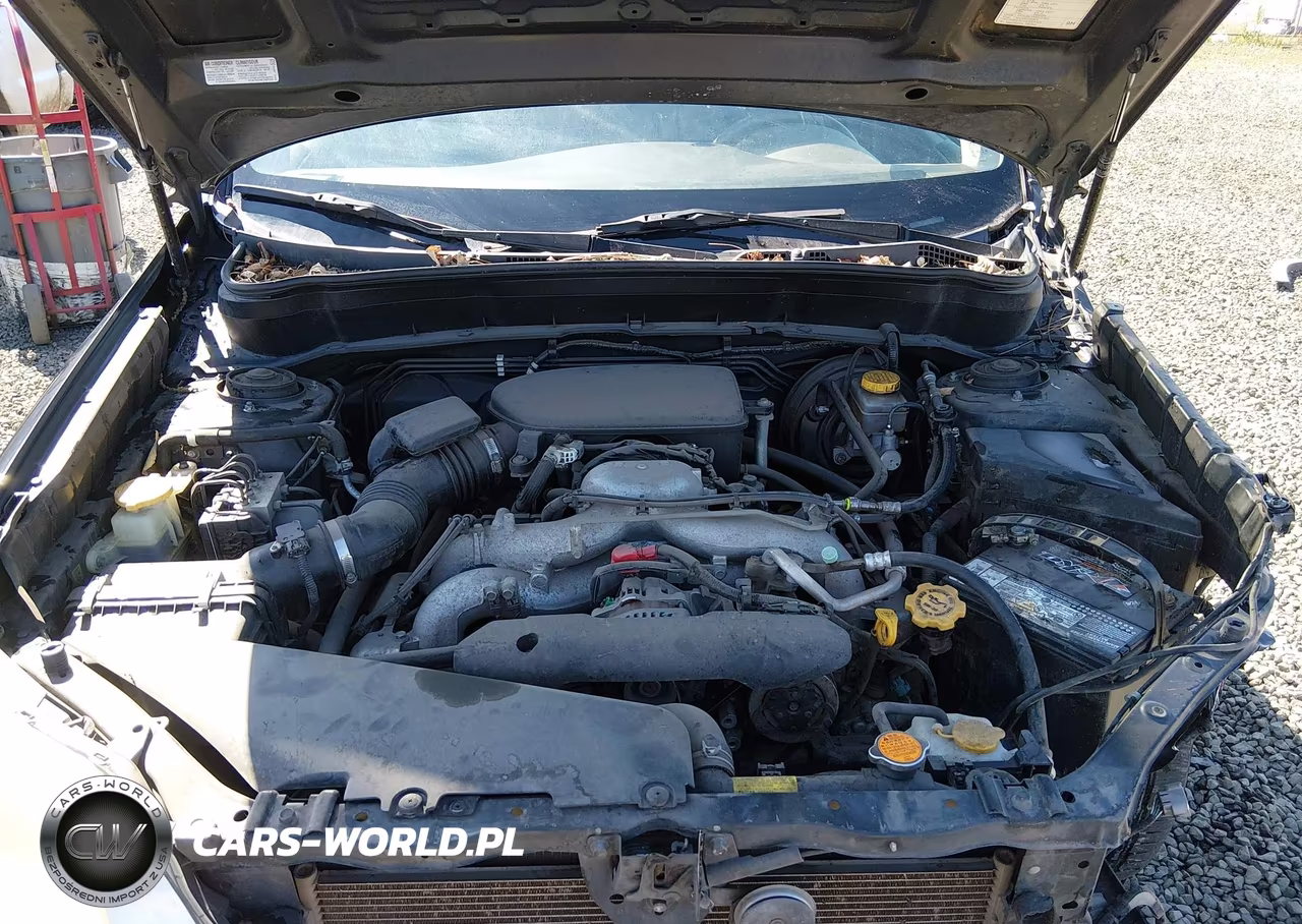 2010 Subaru Forester 2.5X Premium VIN:JF2SH6CC6AH904403 - 10