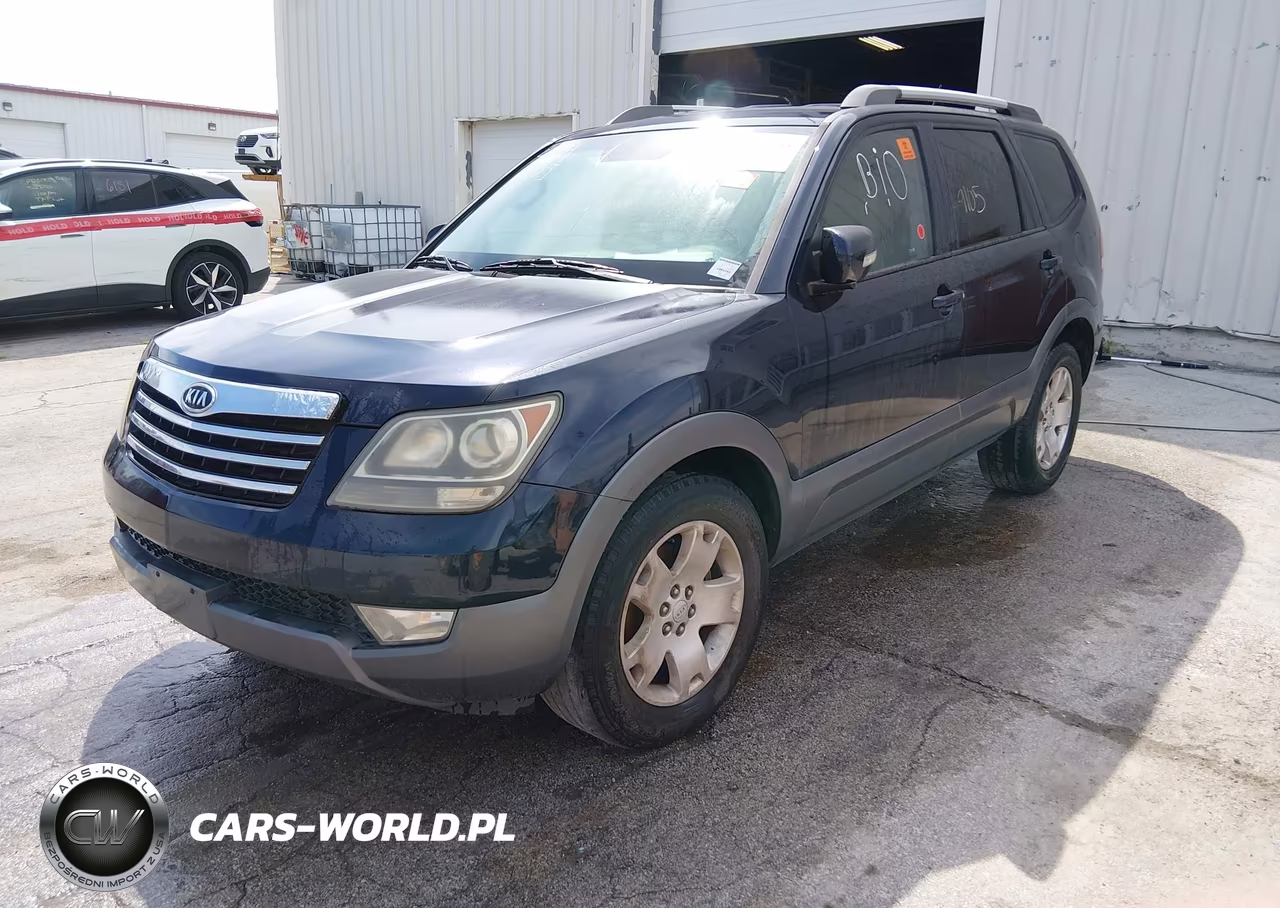 2009 Kia Borrego Ex V6 VIN:KNDJJ741795031419 - 2