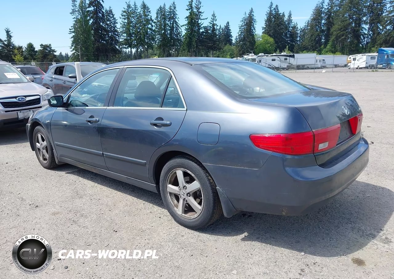 2005 Honda Accord Ex-L VIN:1HGCM56615A801839 - 3
