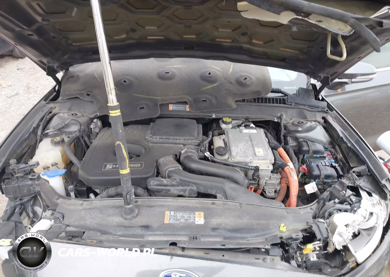 2016 Ford Fusion Hybrid Titanium VIN:3FA6P0RU6GR307426 - 10