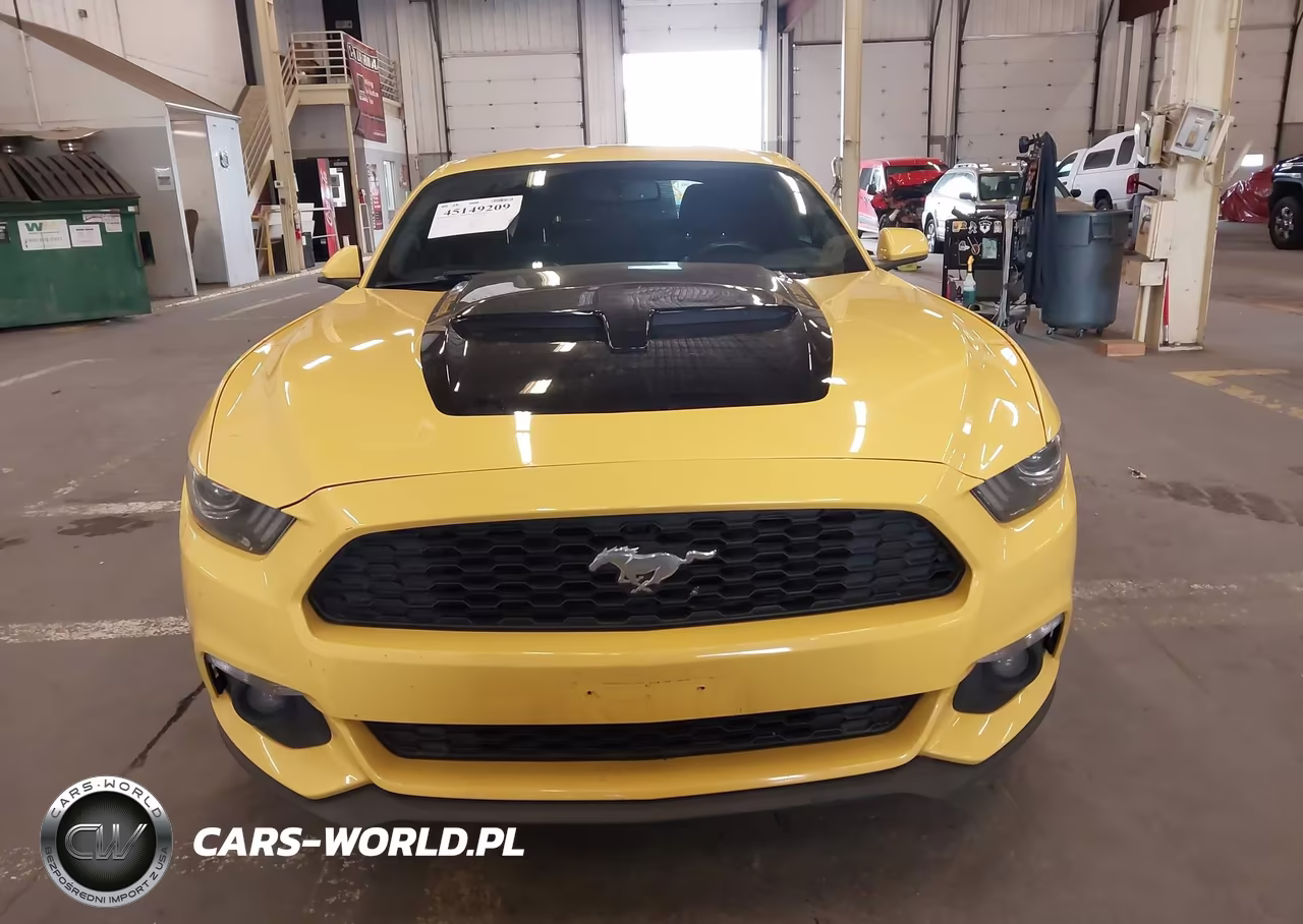 2016 Ford Mustang Ecoboost VIN:1FA6P8TH9G5225655 - 12