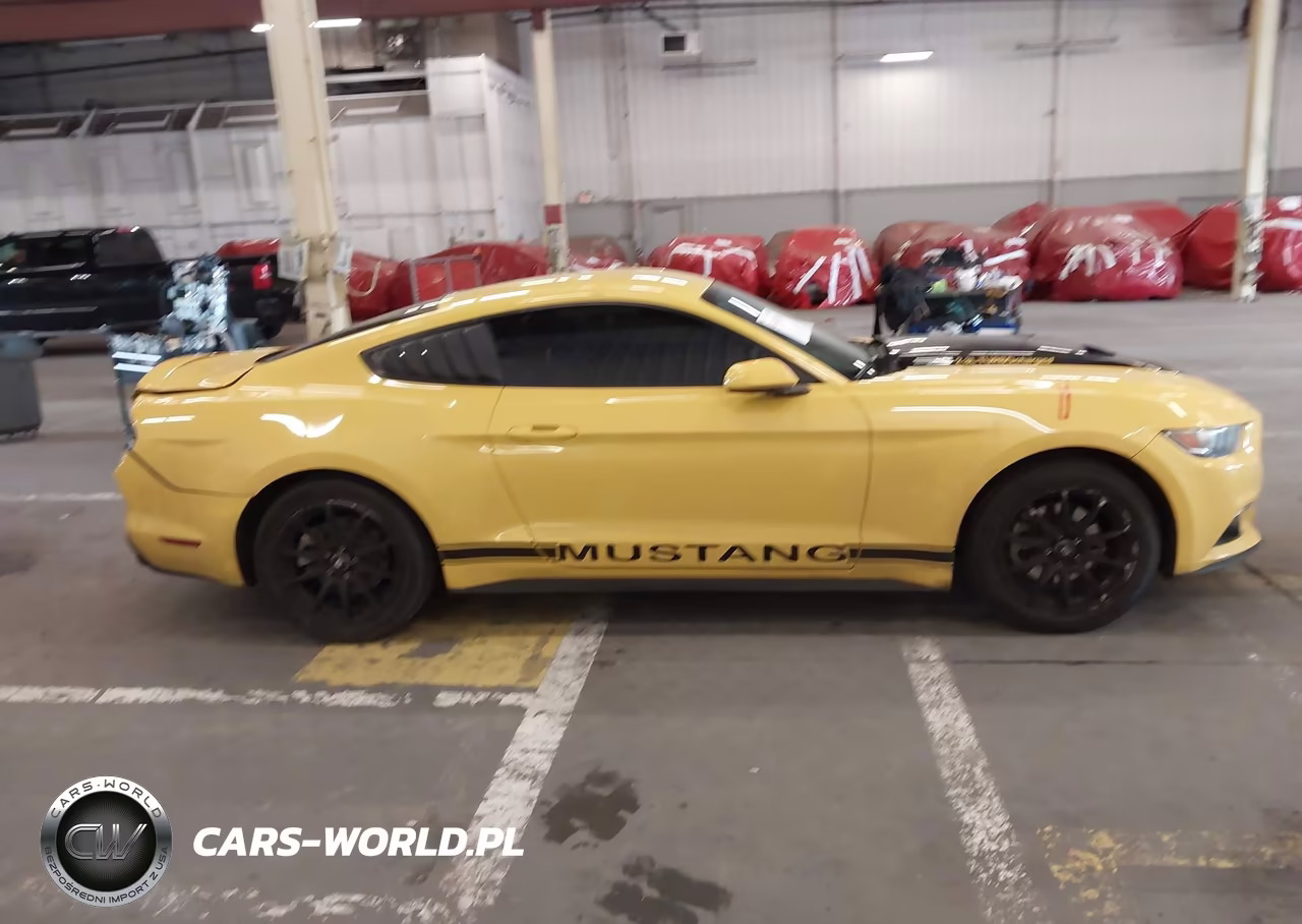 2016 Ford Mustang Ecoboost VIN:1FA6P8TH9G5225655 - 13