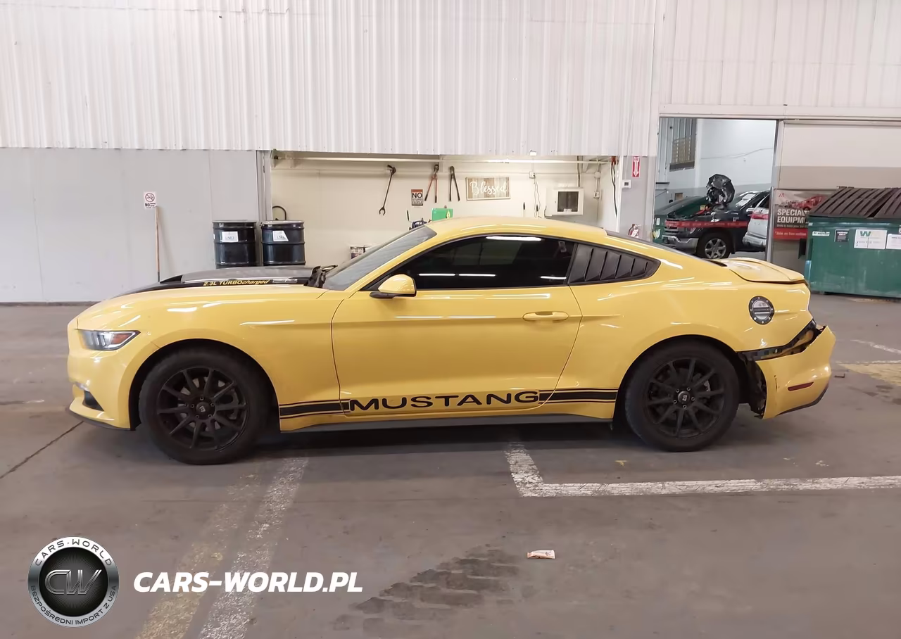 2016 Ford Mustang Ecoboost VIN:1FA6P8TH9G5225655 - 14