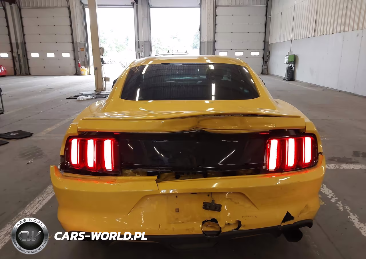 2016 Ford Mustang Ecoboost VIN:1FA6P8TH9G5225655 - 16